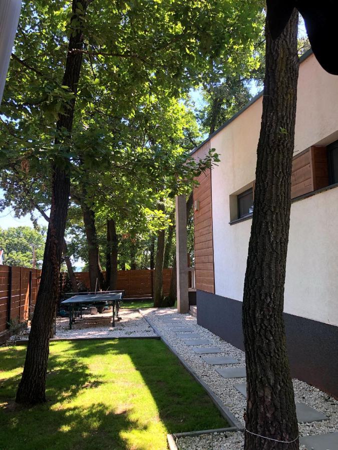 Pine-Wood Resort Balatonalmádi エクステリア 写真